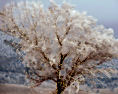 Bright Ice