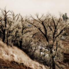 Rolling Hills