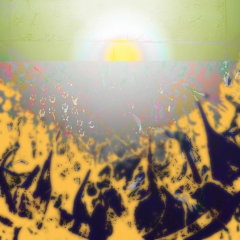 Rising Sun