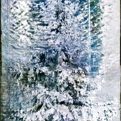 Spruce Frost