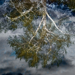 Mystic Pond Reflection