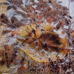 Decomposed