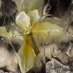 Water Flow A