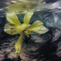 Water Flow B